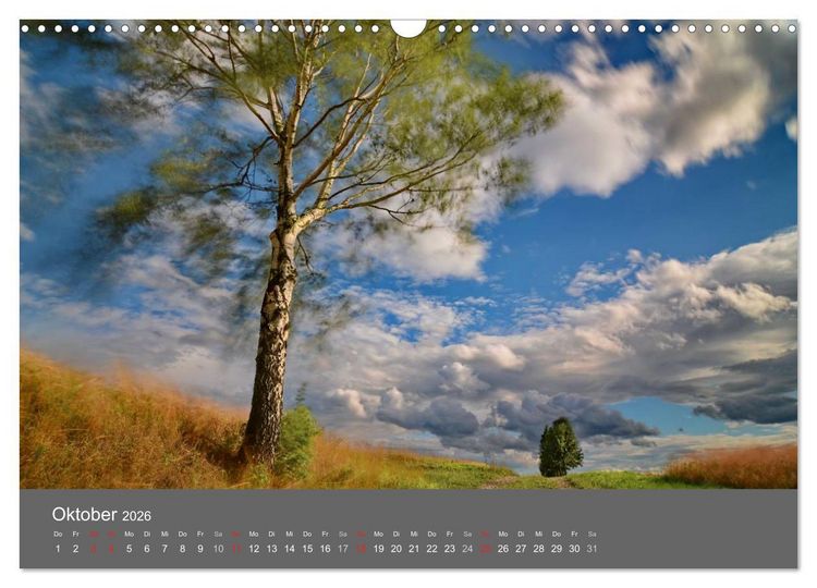 Produktbild: B&auml;ume (Wandkalender 2026 DIN A3 quer), CALVENDO Monatskalender