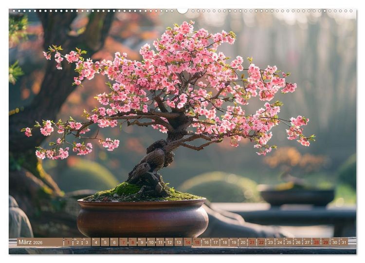 Produktbild: Bonsai meditativ (hochwertiger Premium Wandkalender 2026 DIN A2 quer), Kunstdruck in Hochglanz