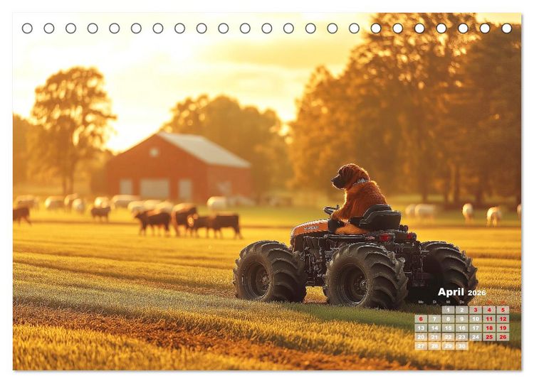 Produktbild: S&uuml;&szlig;e Hunde cruisen - durch das Jahr mit dem Hundekalender (Tischkalender 2026 DIN A5 quer), CALVENDO Monatskalender