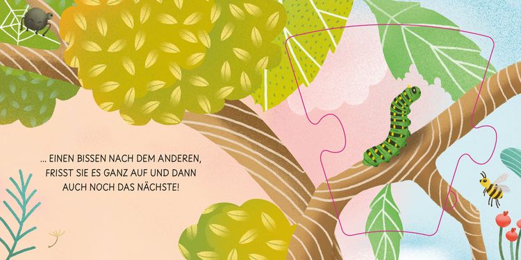 Produktbild: Geburt eines Schmetterlings