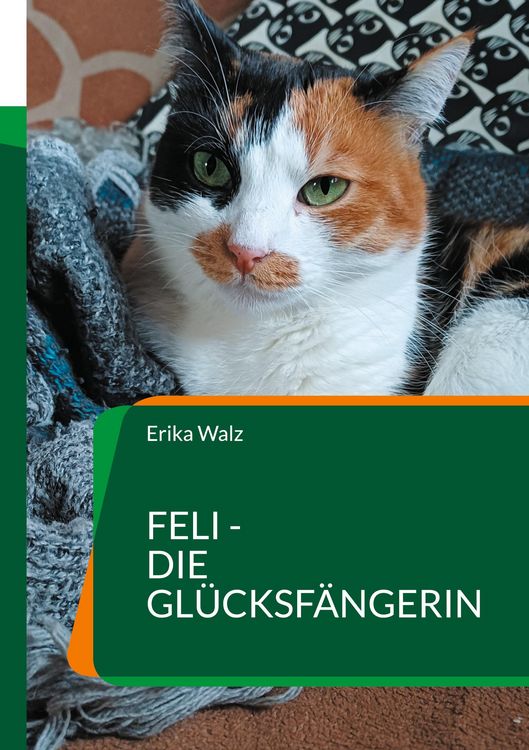 Produktbild: Feli - die Gl&uuml;cksf&auml;ngerin