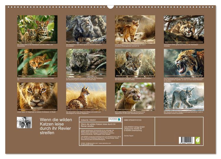 Produktbild: Wenn die wilden Katzen leise durch ihr Revier streifen (Wandkalender 2026 DIN A2 quer), CALVENDO Monatskalender