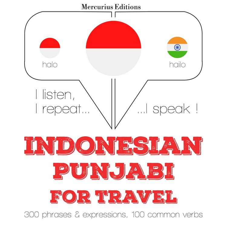 Produktbild: Travel words and phrases in Punjabi