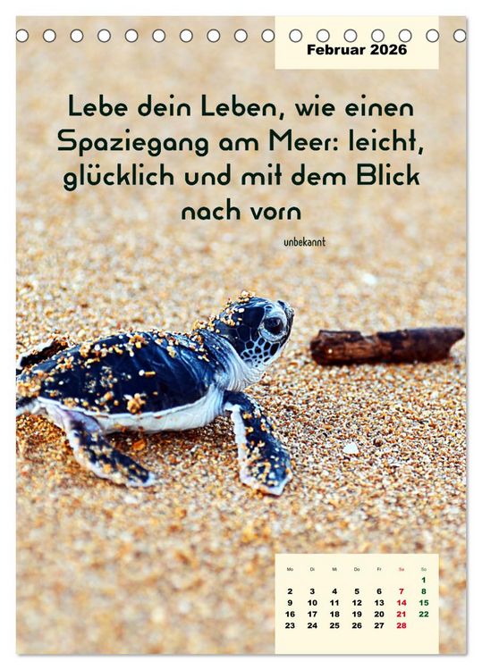 Produktbild: Verr&uuml;ckt nach MEER - Wellen - Strand - Zitate (Tischkalender 2026 DIN A5 hoch), CALVENDO Monatskalender