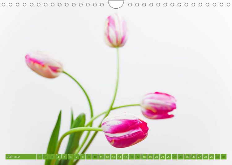 Produktbild: Tulpen f&uuml;r das ganze Jahr (Wandkalender 2022 DIN A4 quer)