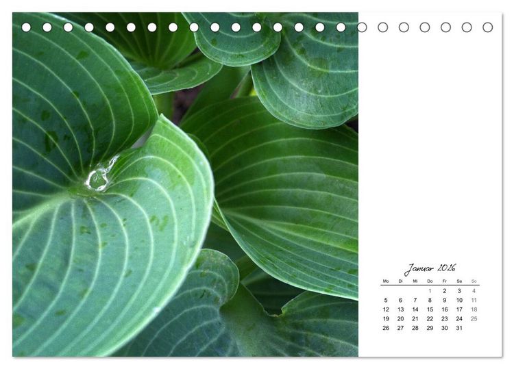 Produktbild: Blattkunst (Tischkalender 2026 DIN A5 quer), CALVENDO Monatskalender