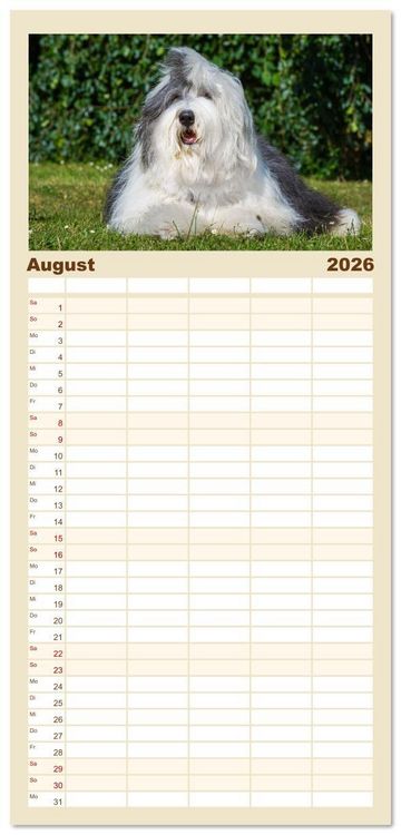 Produktbild: Familienplaner 2026 - Britische H&uuml;tehunde - Treue Freunde auf vier Pfoten mit 5 Spalten (Wandkalender, 21 x 45 cm) CALVENDO