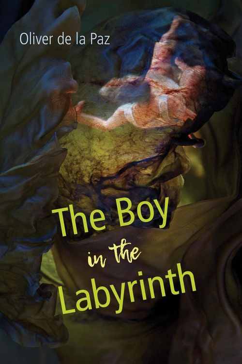 Produktbild: Boy in the Labyrinth