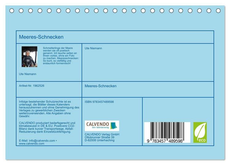 Produktbild: Meeres-Schnecken (Tischkalender 2026 DIN A5 quer), CALVENDO Monatskalender