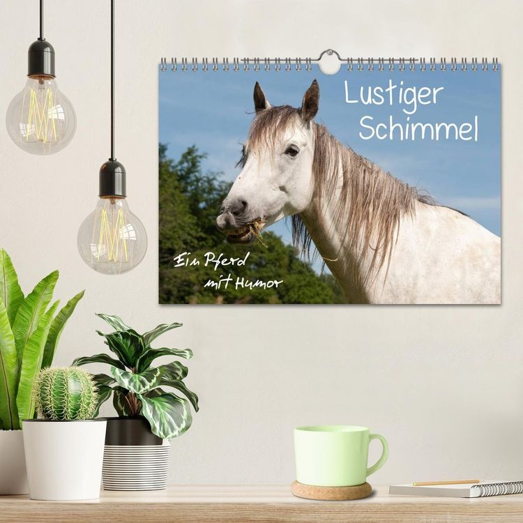 Produktbild: Lustiger Schimmel - ein Pferd mit Humor (Wandkalender 2027 DIN A4 quer), CALVENDO Monatskalender