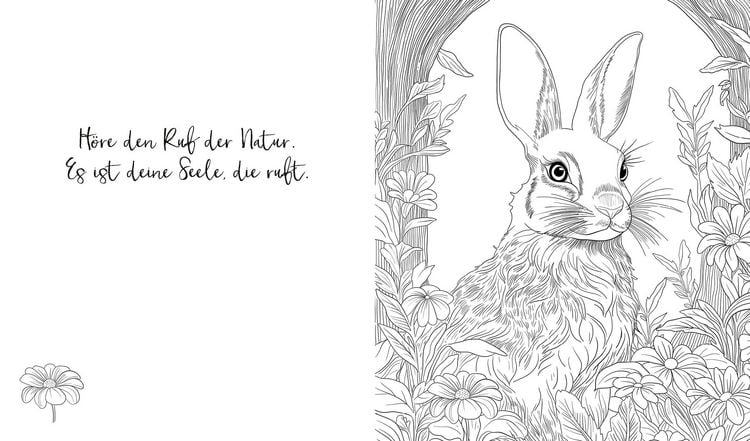 Produktbild: Zauberhafte Ausmalwelten