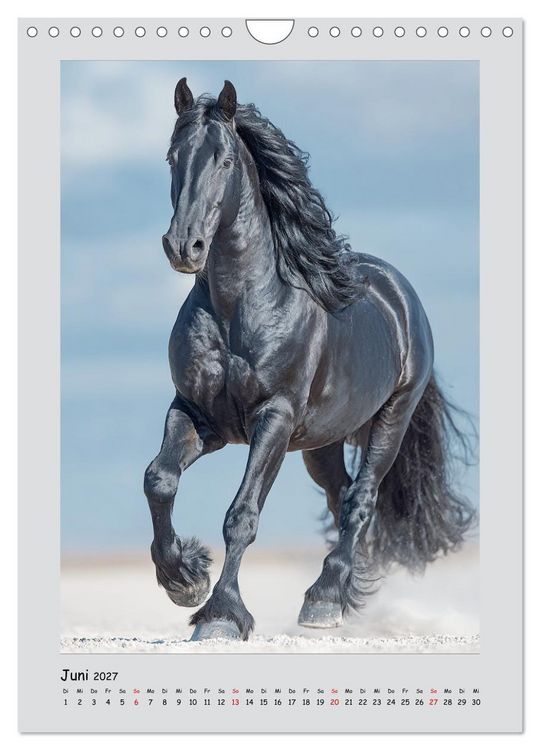 Produktbild: Friesenpferde. Schwarze Eleganz in der Natur (Wandkalender 2027 DIN A4 hoch), CALVENDO Monatskalender