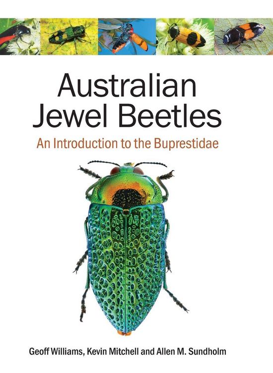 Produktbild: Australian Jewel Beetles