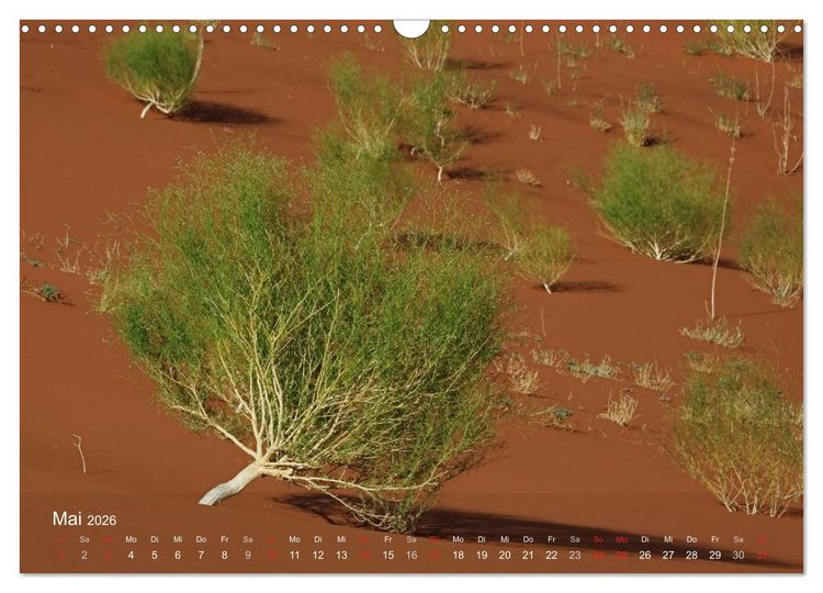 Produktbild: Afrikanische B&auml;ume (Wandkalender 2026 DIN A3 quer), CALVENDO Monatskalender