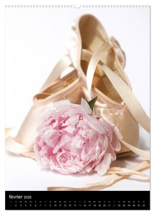 Produktbild: BALLERINE (Calendrier mural 2026 DIN A2 horizontal) calendrier de bureau
