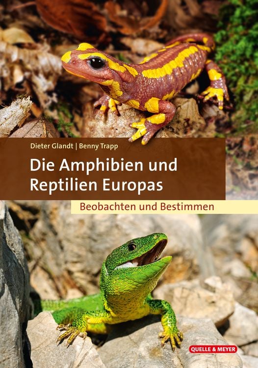 Produktbild: Die Amphibien und Reptilien Europas