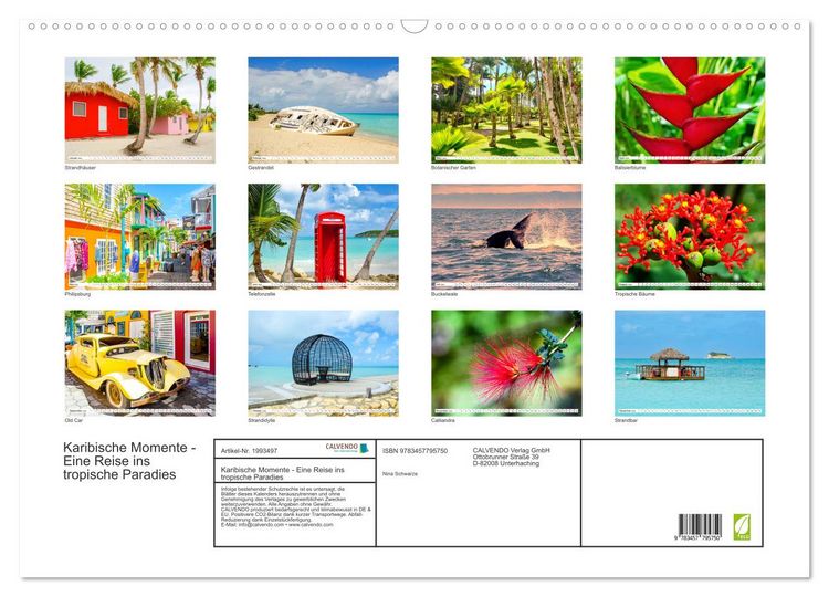 Produktbild: Karibische Momente - Eine Reise ins tropische Paradies (Wandkalender 2026 DIN A2 quer), CALVENDO Monatskalender