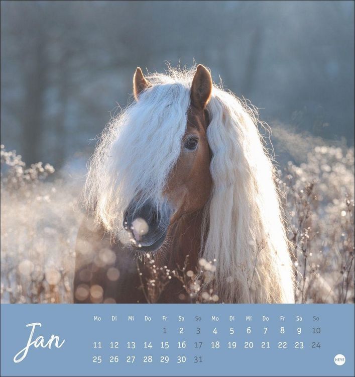 Produktbild: Pferde Postkartenkalender 2027 - Starke Freunde