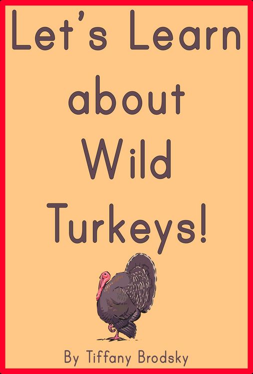 Produktbild: Let's Learn about Wild Turkeys!