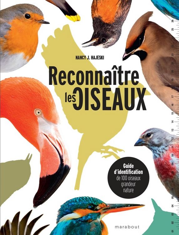 Produktbild: Reconna&icirc;tre les oiseaux