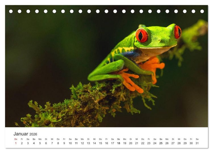 Produktbild: Costa Rica - exotische Tierwelt und unber&uuml;hrte Natur (Tischkalender 2026 DIN A5 quer), CALVENDO Monatskalender