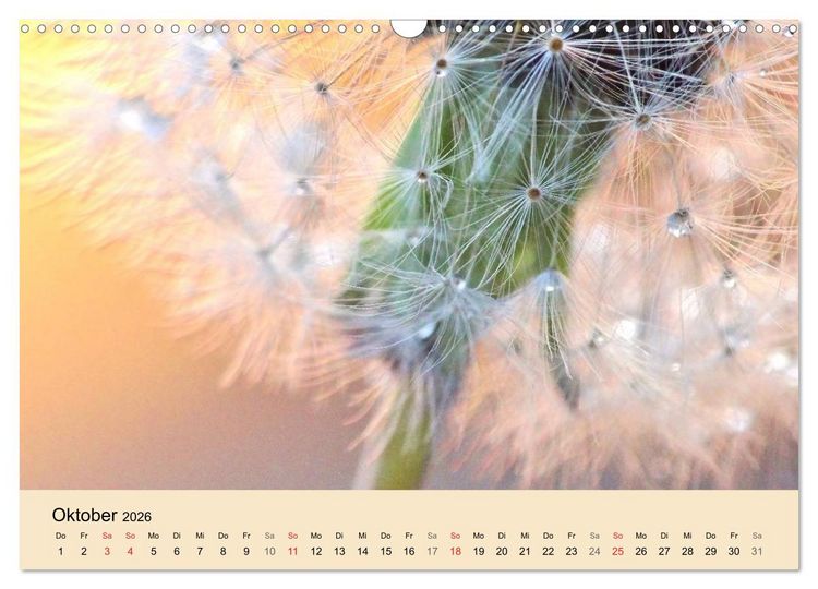 Produktbild: Naturjuwel Pusteblume (Wandkalender 2026 DIN A3 quer), CALVENDO Monatskalender