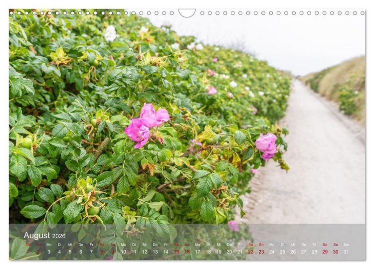 Produktbild: Inseelfeeling - Hiddensee (Wandkalender 2026 DIN A3 quer), CALVENDO Monatskalender