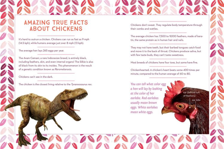 Produktbild: How to Speak Chicken