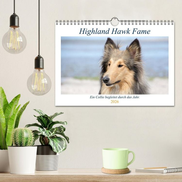 Produktbild: Highland Hawk Fame - Ein Collie begleitet durch das Jahr (Wandkalender 2026 DIN A4 quer), CALVENDO Monatskalender
