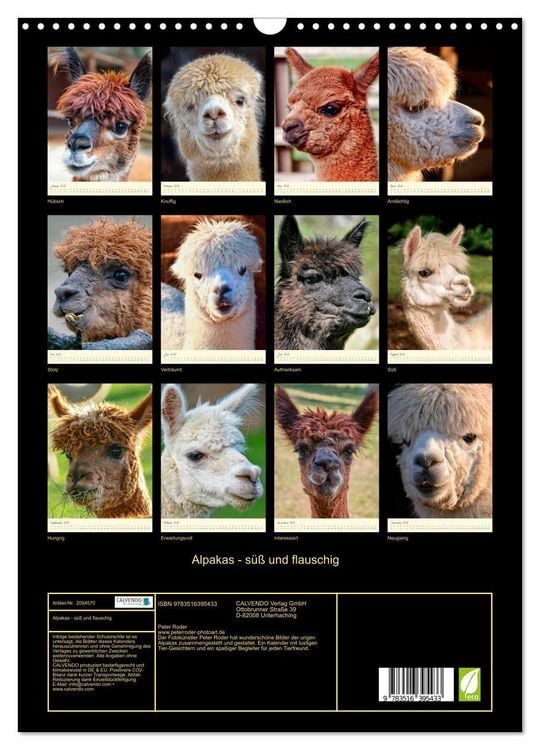 Produktbild: Alpakas - s&uuml;&szlig; und flauschig (Wandkalender 2026 DIN A3 hoch), CALVENDO Monatskalender