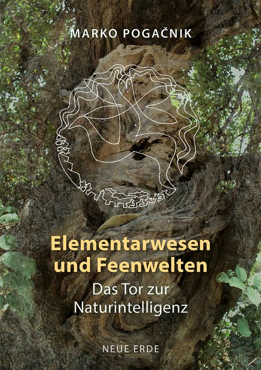 Produktbild: Elementarwesen und Feenwelten