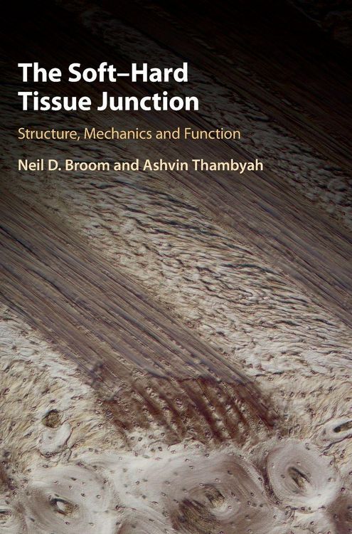 Produktbild: The Soft-Hard Tissue Junction