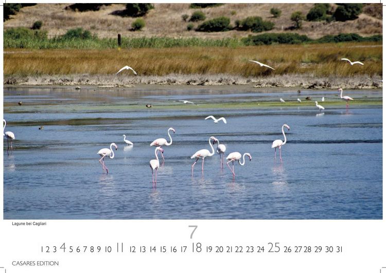 Produktbild: Sardinien Kalender 2027 &ndash; Wandkalender | Fotokalender Italien 35x50cm - mit 12 traumhaften Fotos von Str&auml;nden , Buchten & Natur der Mittelmeerinsel.