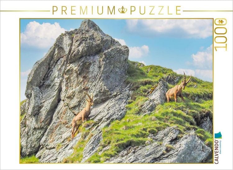 Produktbild: CALVENDO Puzzle Steinb&ouml;cke | 1000 Teile Lege-Gr&ouml;&szlig;e 64x48cm Foto-Puzzle f&uuml;r gl&uuml;ckliche Stunden