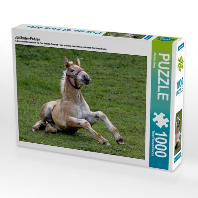 Produktbild: CALVENDO Puzzle J&uuml;tl&auml;nder-Fohlen | 1000 Teile Lege-Gr&ouml;&szlig;e 64x48cm Foto-Puzzle f&uuml;r gl&uuml;ckliche Stunden