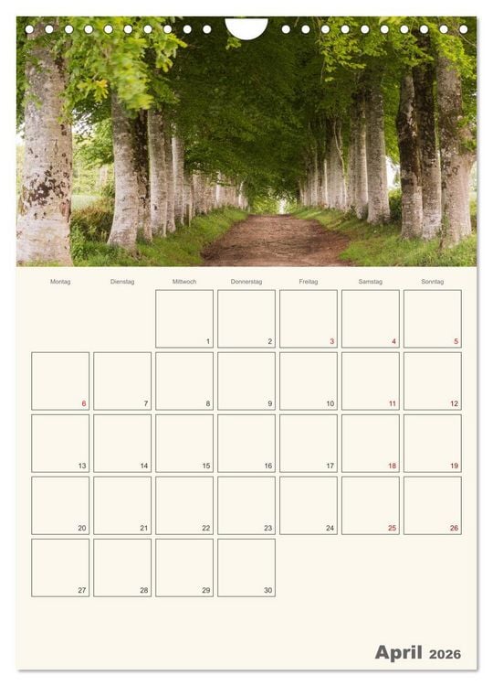Produktbild: Sommertage in der Bretagne (Wandkalender 2026 DIN A4 hoch), CALVENDO Monatskalender