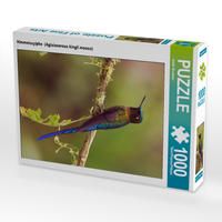 Produktbild: CALVENDO Puzzle Himmelssylphe (Aglaiocercus kingii mocoa) 1000 Teile Lege-Gr&ouml;&szlig;e 48 x 64 cm Foto-Puzzle Bild von Armin Brockner