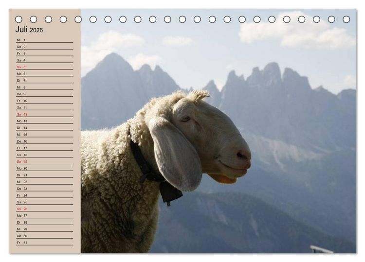 Produktbild: Schafe z&auml;hlen leicht gemacht! (Tischkalender 2026 DIN A5 quer), CALVENDO Monatskalender