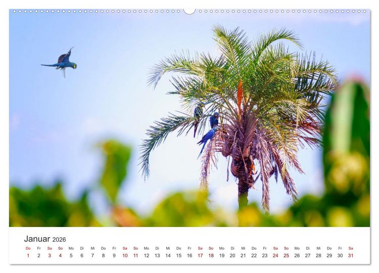 Produktbild: Brasilien - Karnevale, Fu&szlig;ball und Regenw&auml;lder. (Wandkalender 2026 DIN A2 quer), CALVENDO Monatskalender