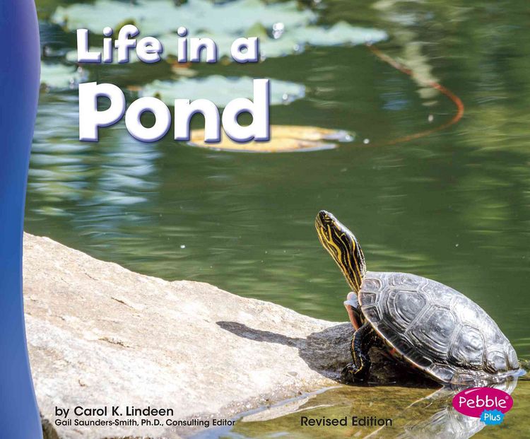 Produktbild: Life in a Pond