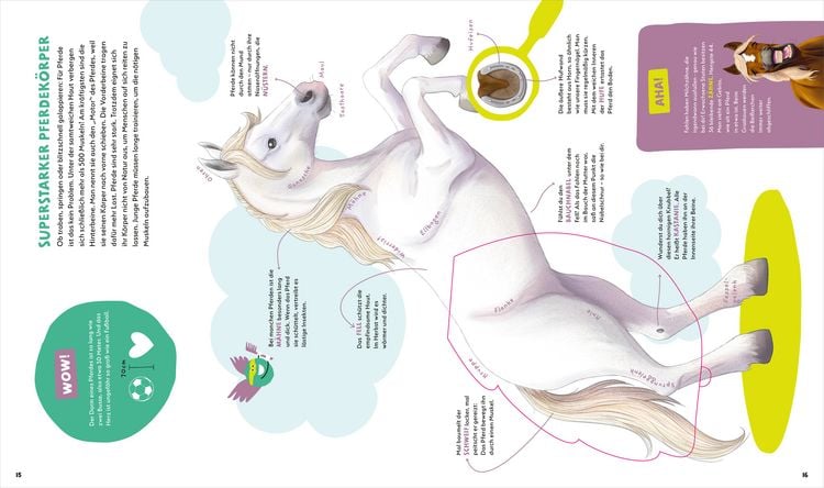 Produktbild: WAS IST WAS Kids Pferde und Ponys. Wild, stark und einfach toll!