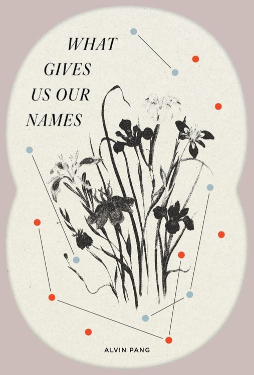 Produktbild: What Gives Us Our Names
