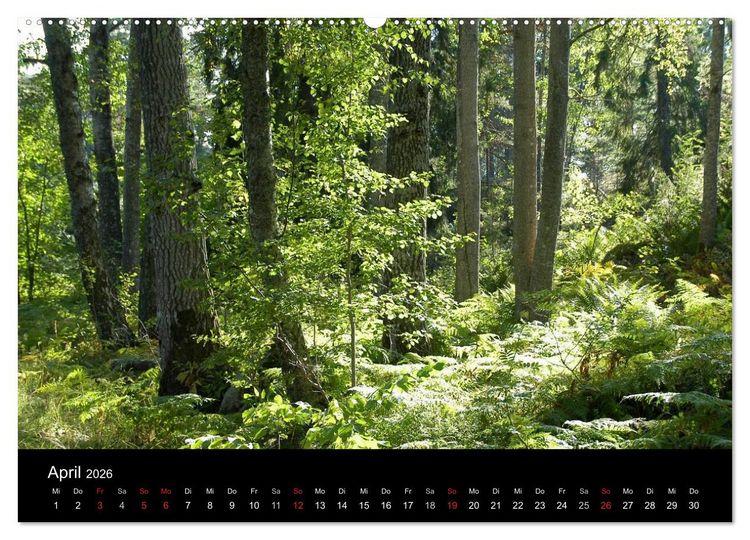 Produktbild: Sommer in Stockholm 2026 (hochwertiger Premium Wandkalender 2026 DIN A2 quer), Kunstdruck in Hochglanz