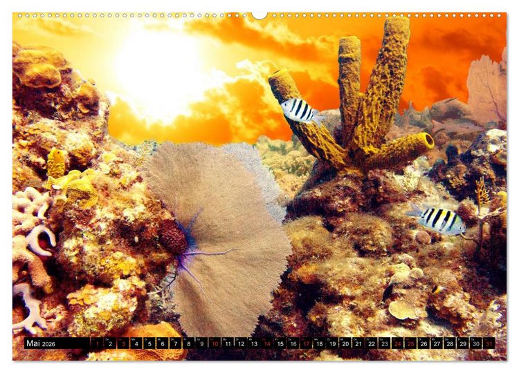 Produktbild: Surreale Unterwasserwelt (hochwertiger Premium Wandkalender 2026 DIN A2 quer), Kunstdruck in Hochglanz