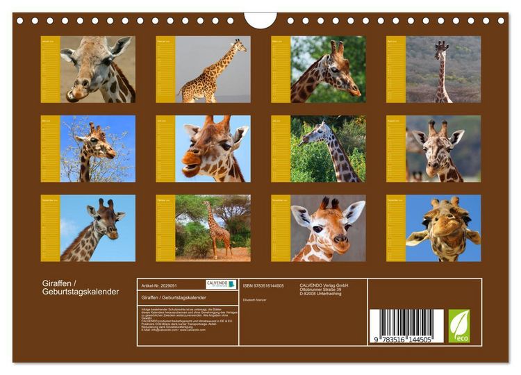Produktbild: Giraffen / Geburtstagskalender (Wandkalender 2026 DIN A4 quer), CALVENDO Monatskalender