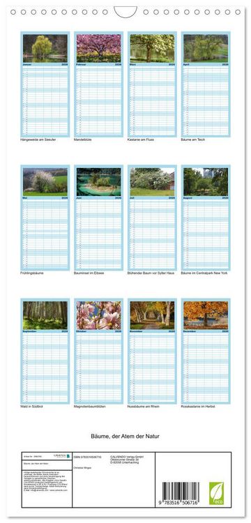 Produktbild: Familienplaner 2026 - B&auml;ume, der Atem der Natur mit 5 Spalten (Wandkalender, 21 x 45 cm) CALVENDO