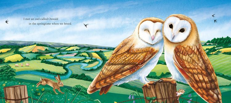 Produktbild: I am Emily the Owl