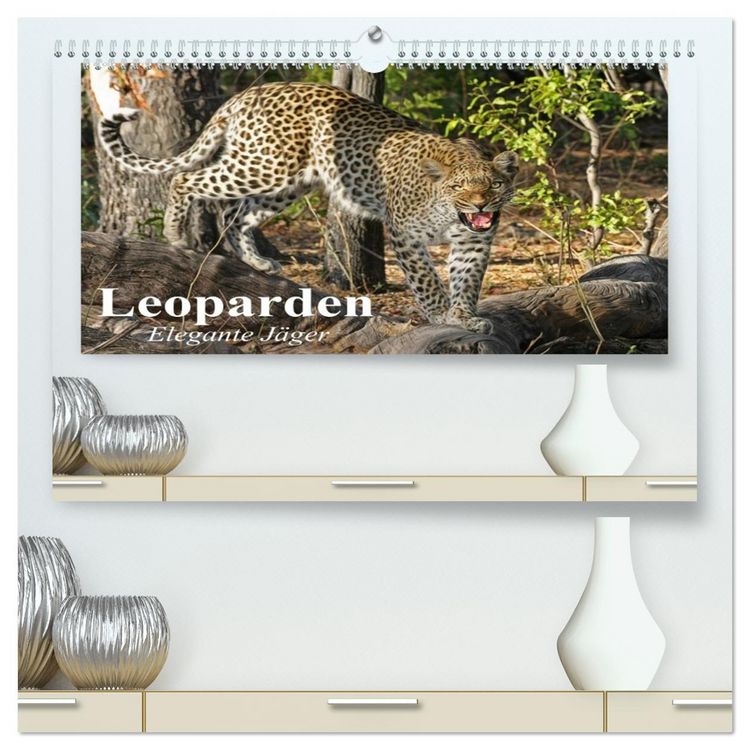 Produktbild: Leoparden. Elegante J&auml;ger (hochwertiger Premium Wandkalender 2026 DIN A2 quer), Kunstdruck in Hochglanz