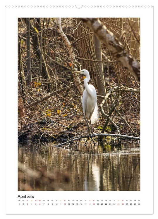 Produktbild: Mein Steinertsee (hochwertiger Premium Wandkalender 2026 DIN A2 hoch), Kunstdruck in Hochglanz