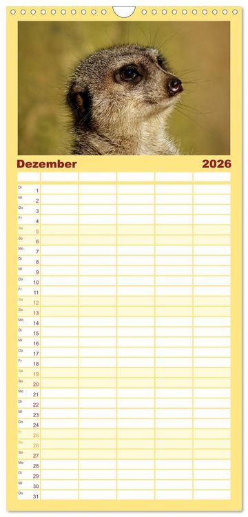Produktbild: Familienplaner 2026 - Erdm&auml;nnchen - Zusammen sind wir stark mit 5 Spalten (Wandkalender, 21 x 45 cm) CALVENDO
